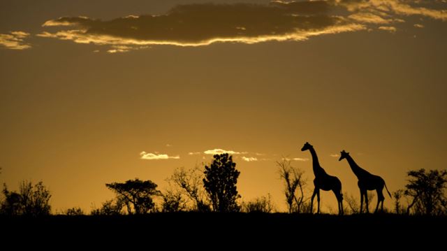 Four places to see before you die